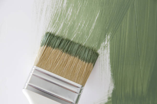 Best Asbestos and Lead Testing During Mold Inspection  in Nashville, TN