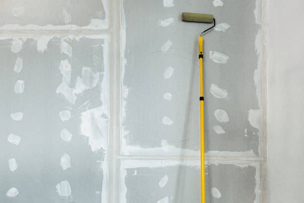 Trusted Nashville, TN Mold Removal Experts
