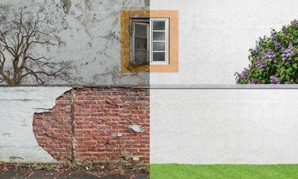 Best Comprehensive Air Testing for Mold Contaminants  in Nashville, TN