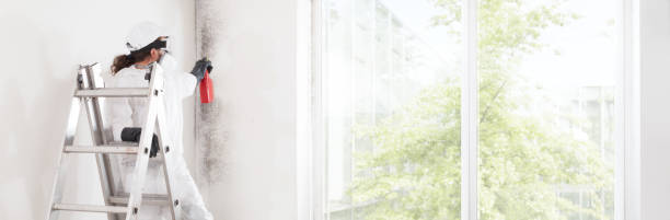 Best Residential Mold Inspection & Testing  in Nashville, TN