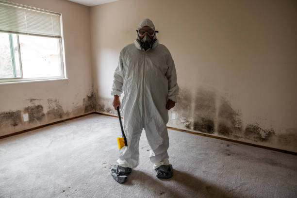 Best Crawl Space Mold Remediation  in Nashville, TN