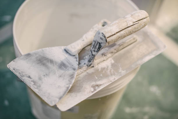 Best Environmental Consulting for Mold Prevention  in Nashville, TN